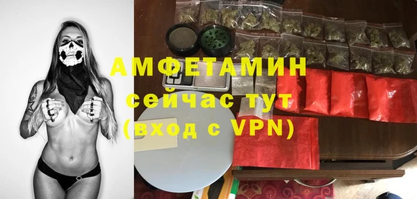 амф Алексин