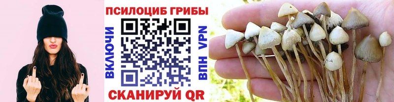 даркнет сайт Каменск-Уральский Псилоцибиновые грибы мухоморы